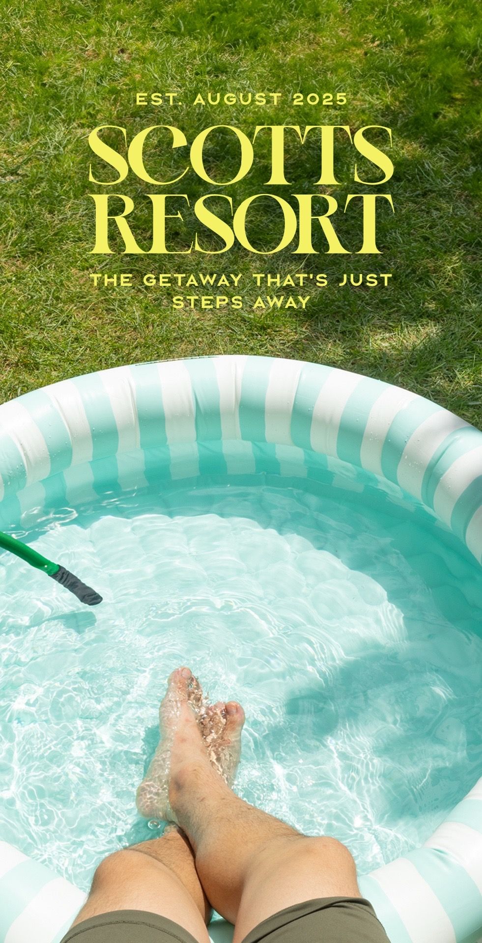 Video post by @scotts_lawn on TikTok