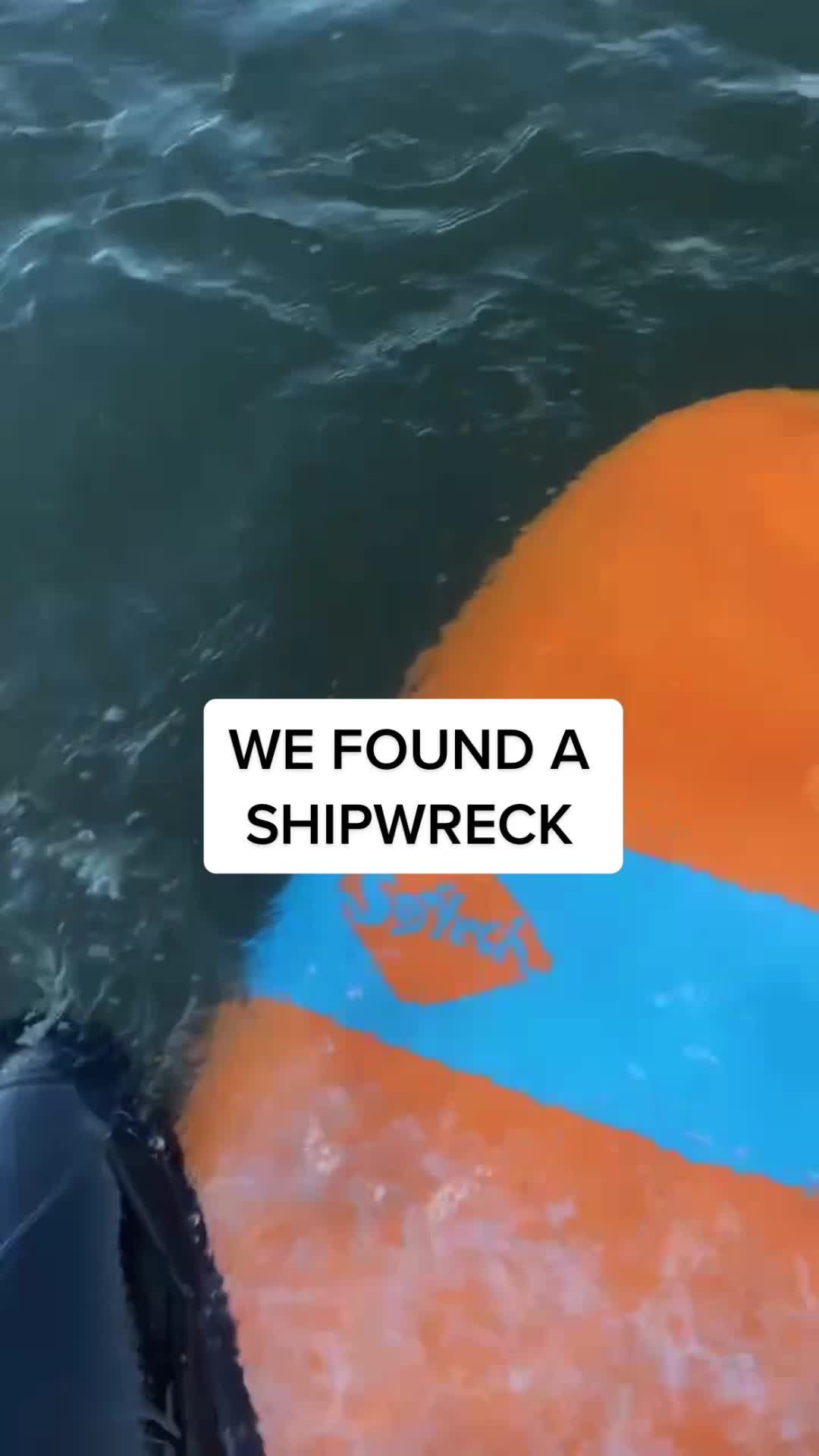 Video post by @thatoneblondkid on TikTok