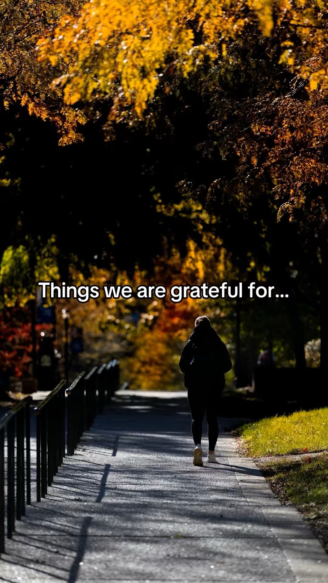 Video post by @universityofky on TikTok