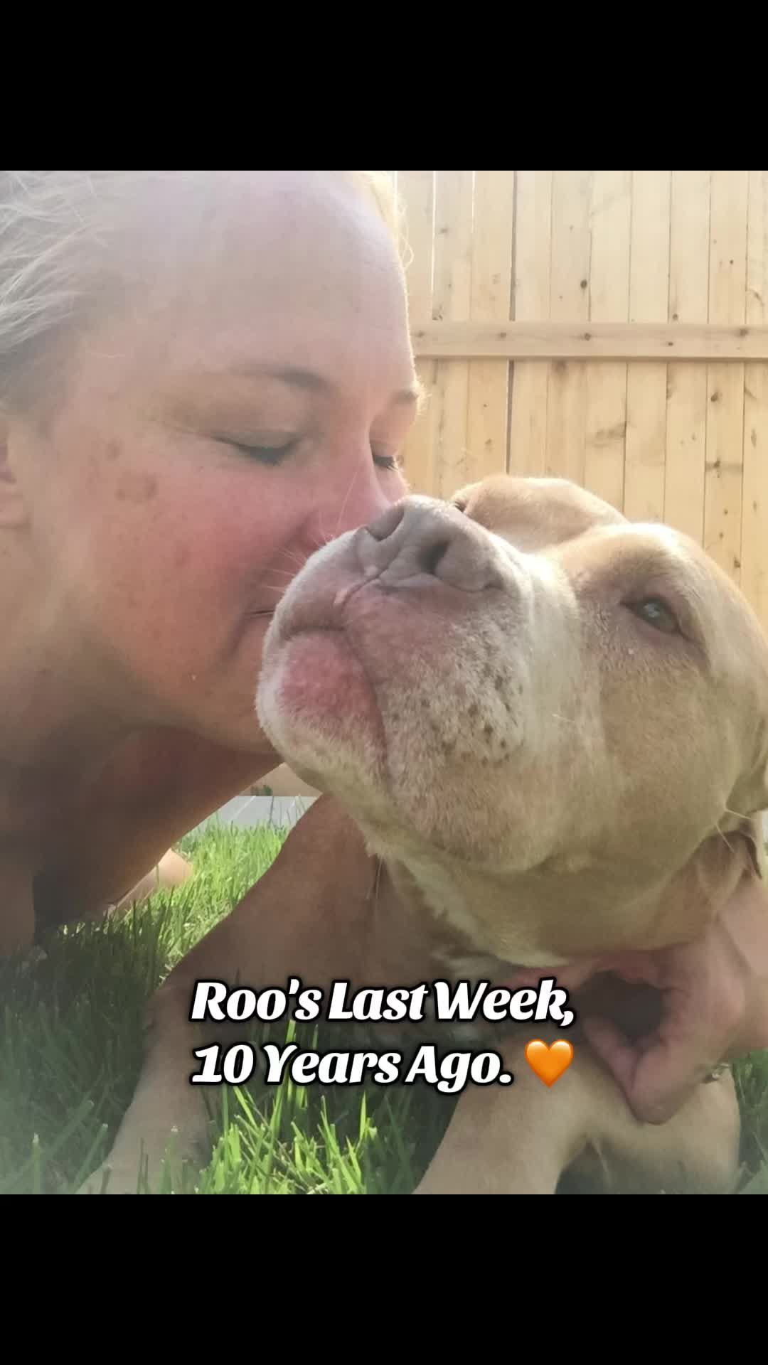 Video post by @livelikeroofoundation on TikTok