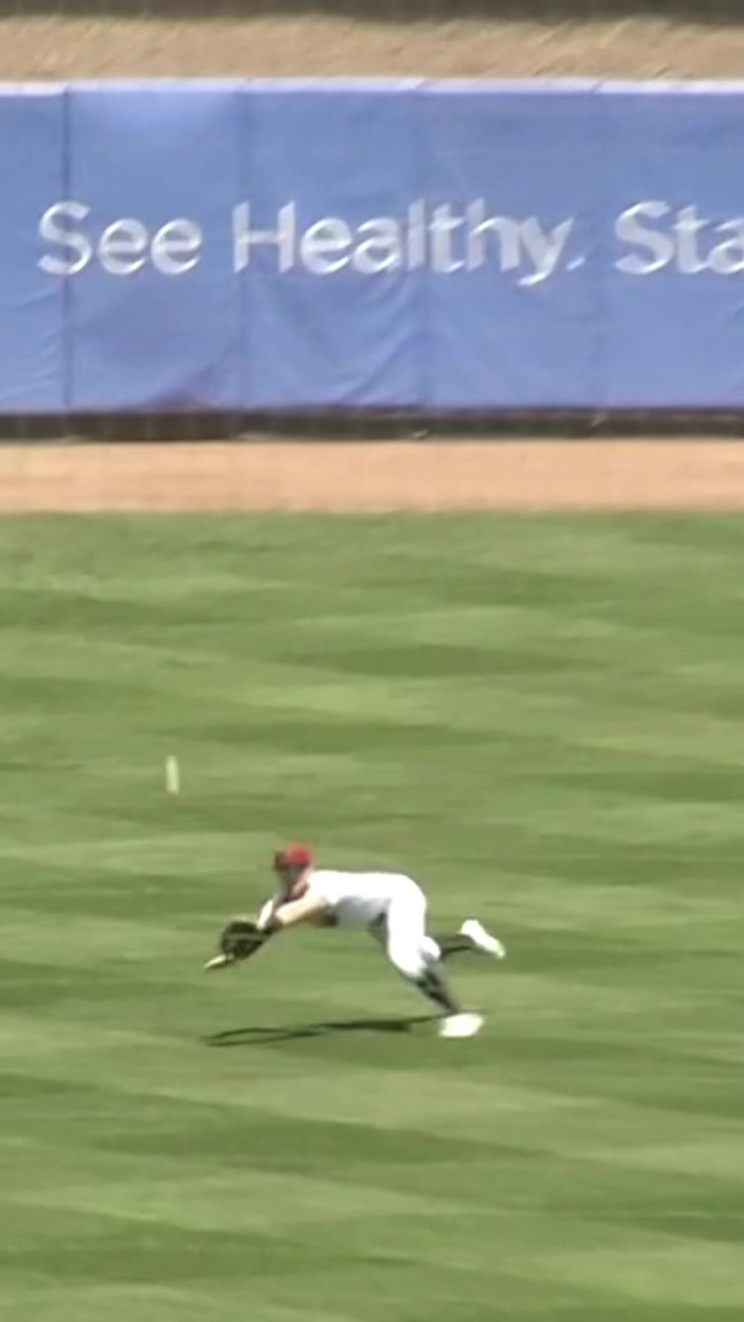 Video post by @therivercats on TikTok