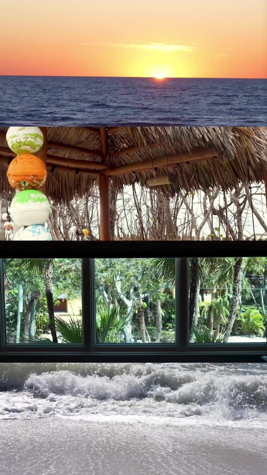 Video post by @page.elizabeth on TikTok