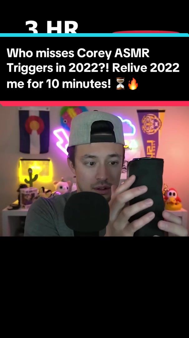 Video post by @coreyasmr on TikTok