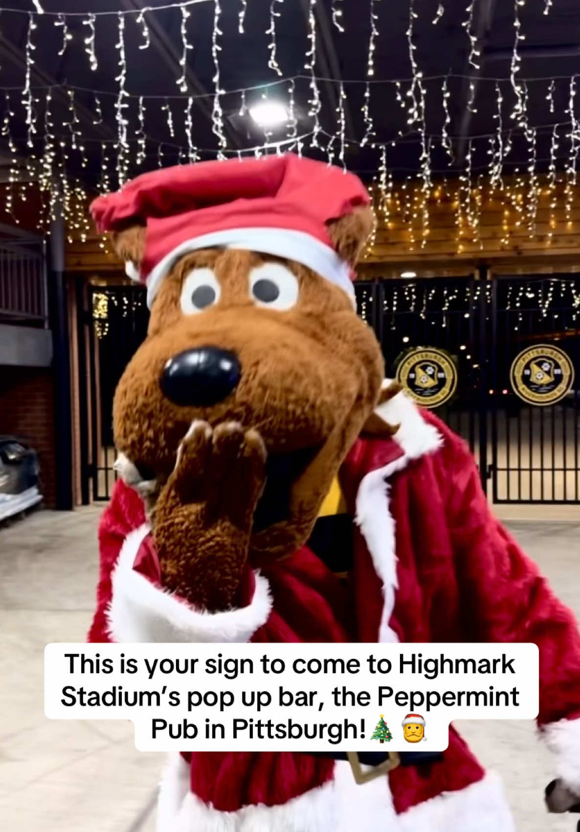 Video post by @riverhoundssc on TikTok