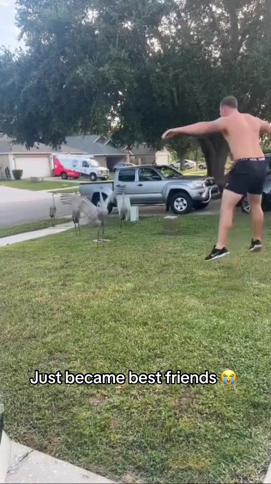 Video post by @houseofhighlights on TikTok