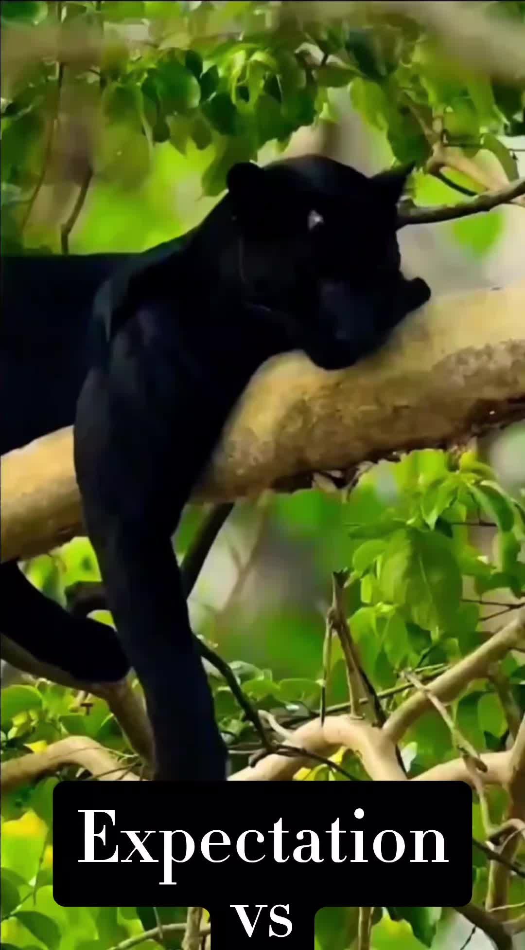 Video post by @beadcache on TikTok