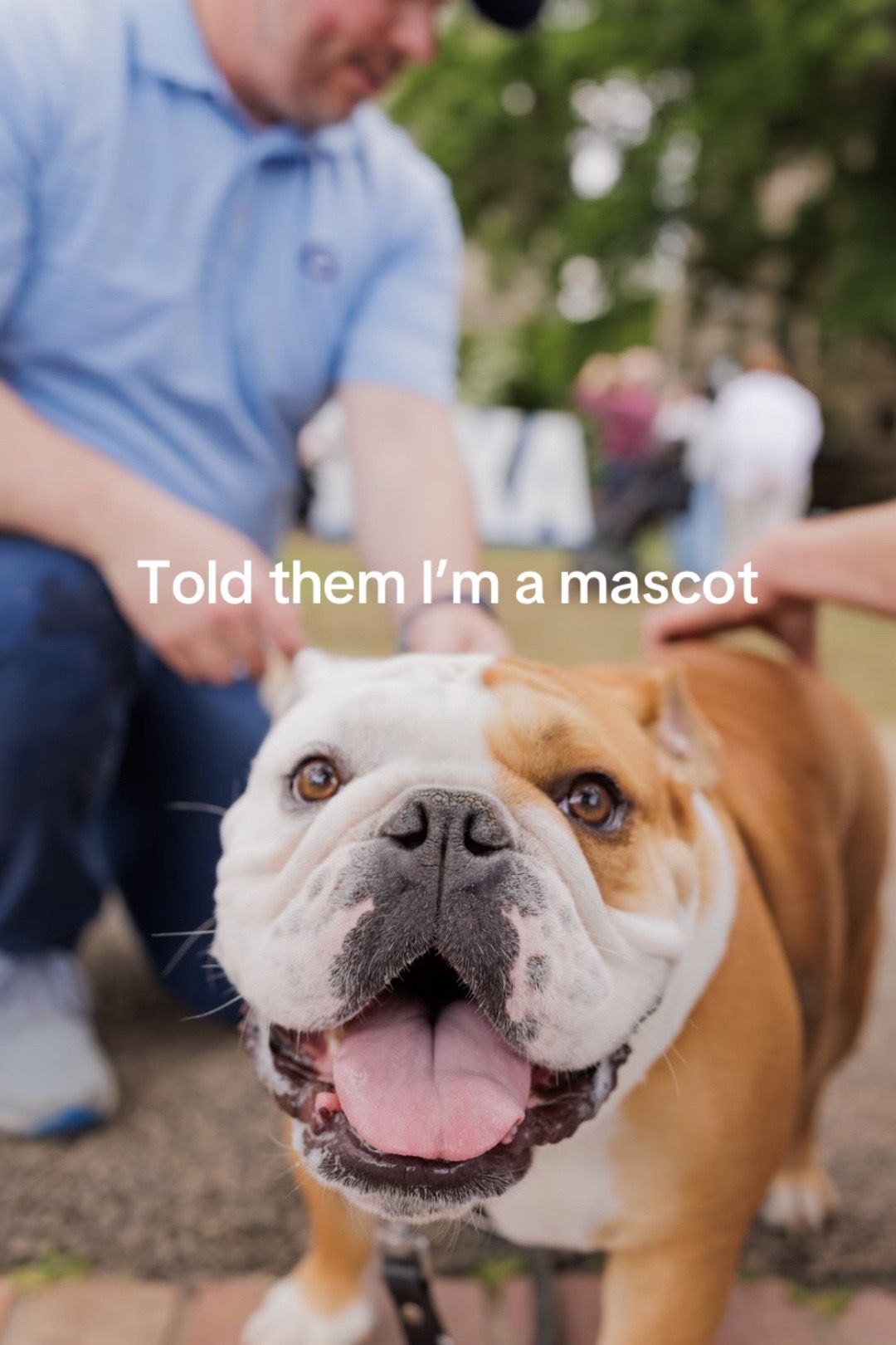 Video post by @georgetownu on TikTok