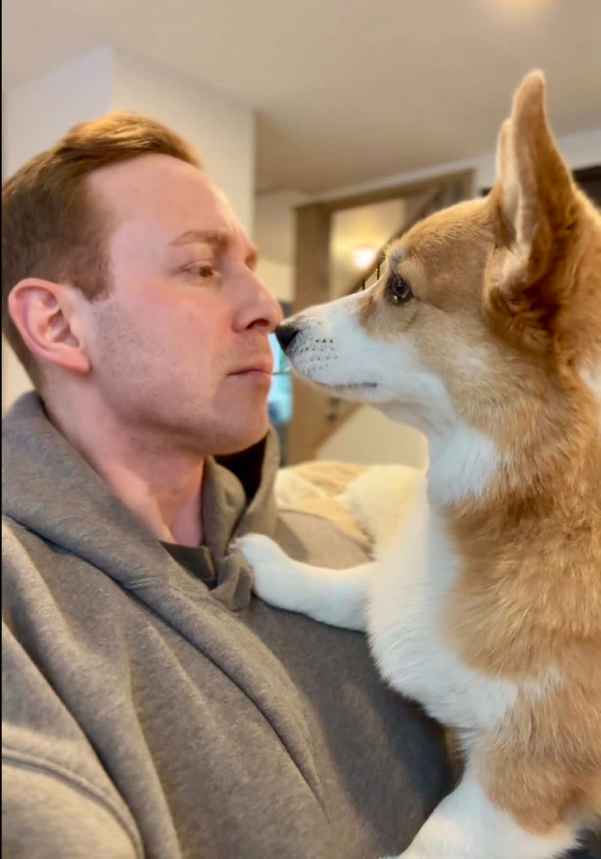 Video post by @hammyandolivia on TikTok