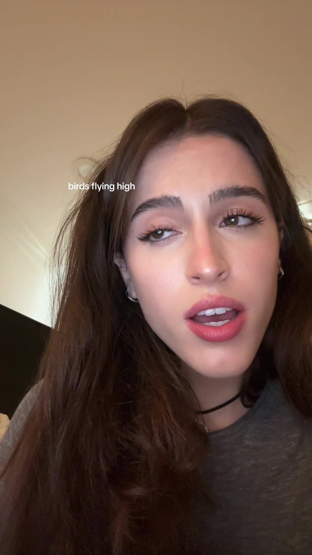 Video post by @allysalort on TikTok