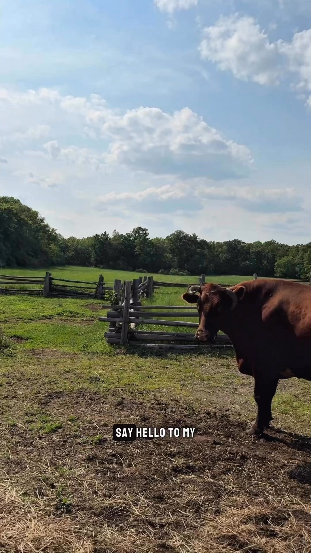 Video post by @OneMinuteTours on Facebook