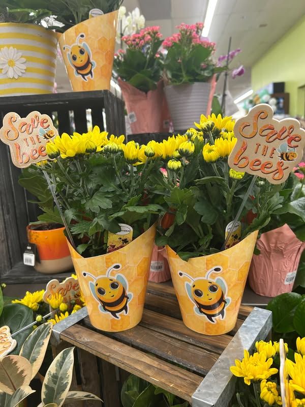 Image post by @starmarket on Facebook