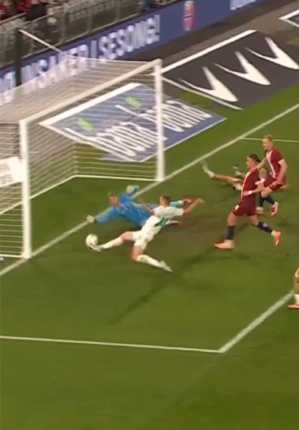 Video post by @timbersfc on TikTok