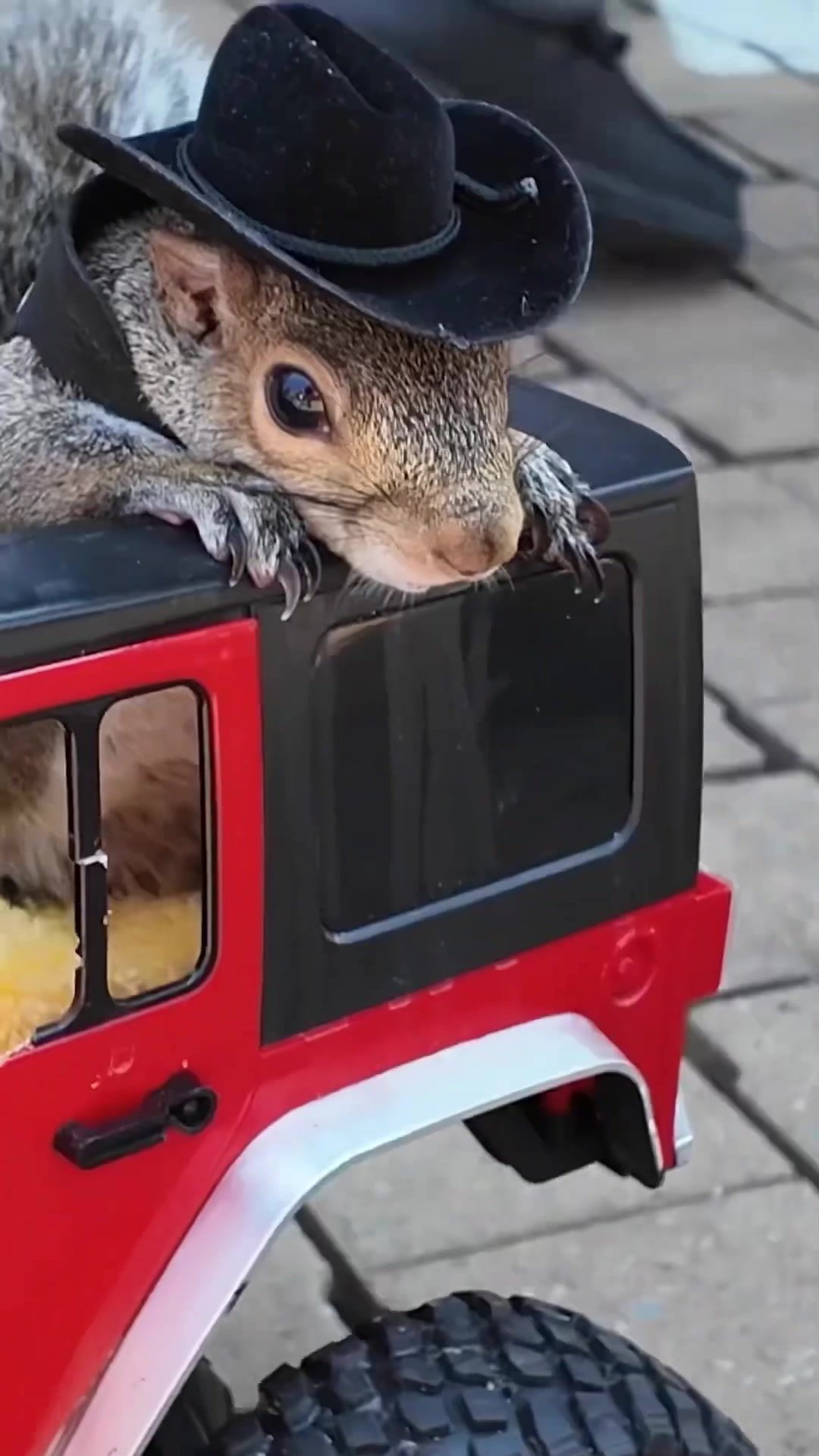 Video post by @superspringsint on TikTok