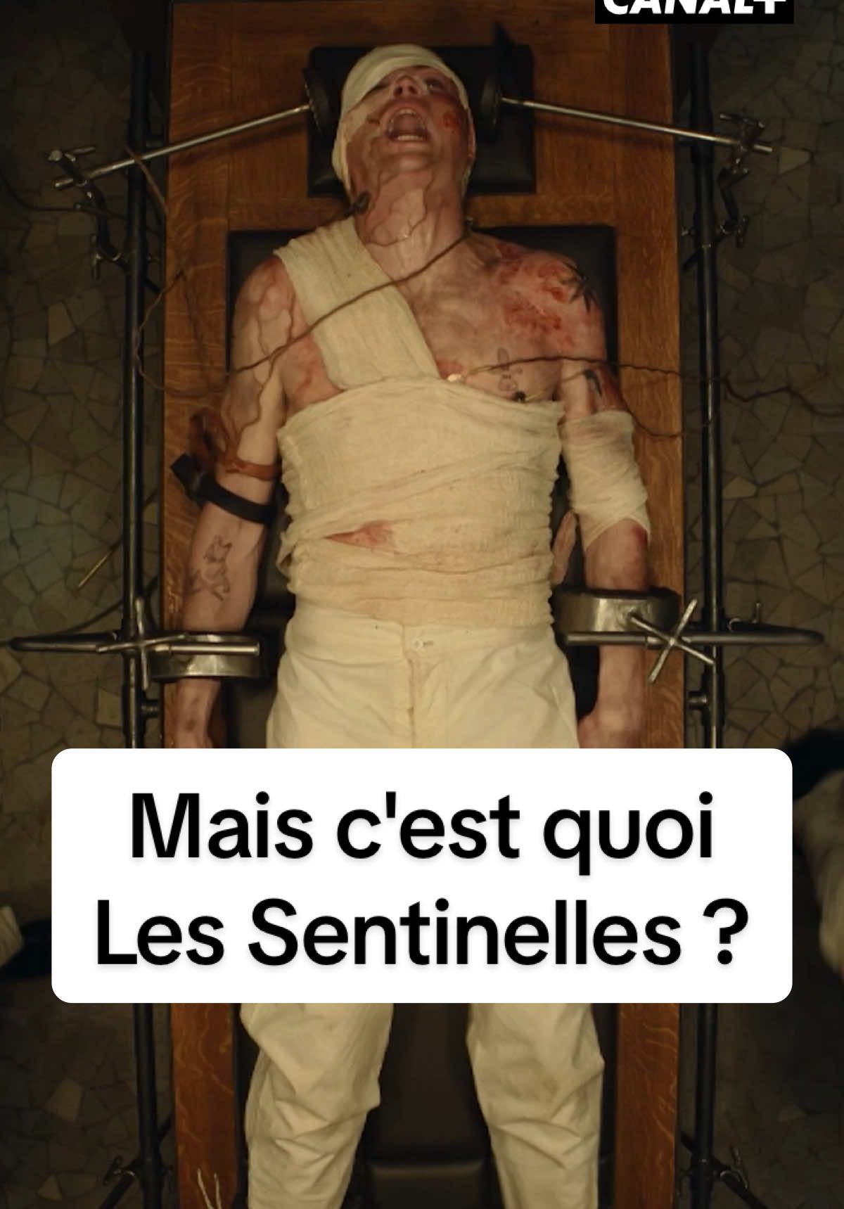 Video post by @canalplus on TikTok