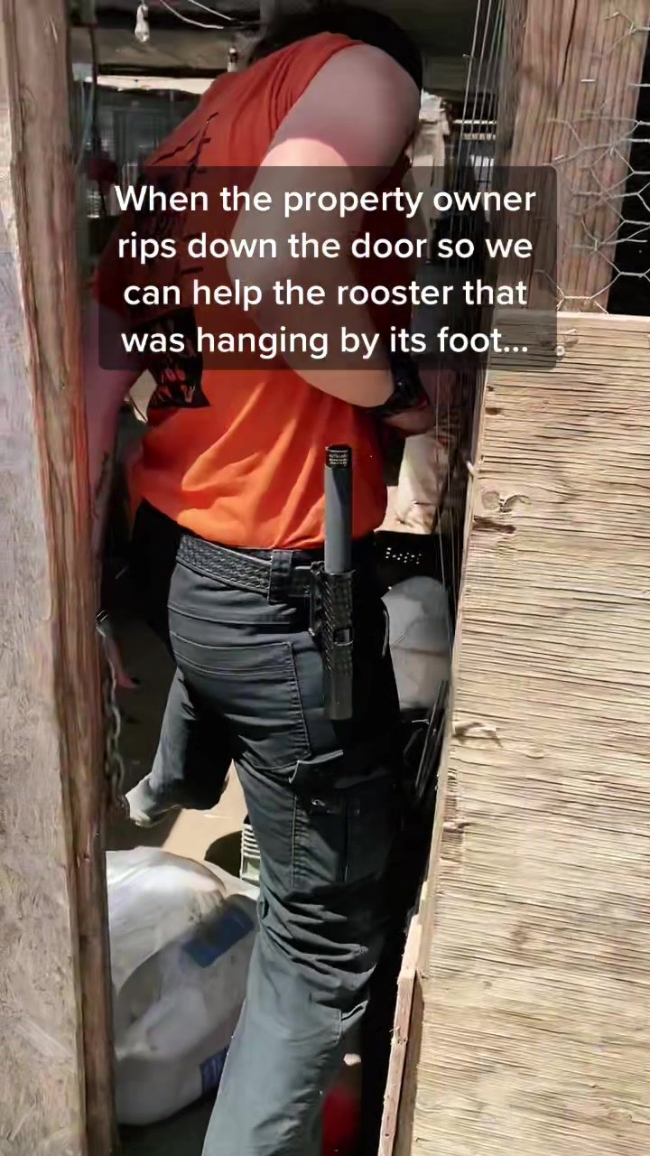 Video post by @acobegin on TikTok