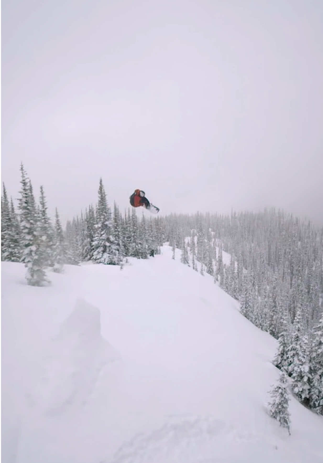 Video post by @redbullusa on TikTok