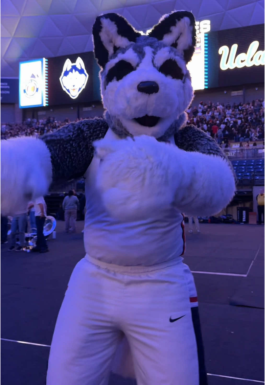 Video post by @uconnhuskies on TikTok