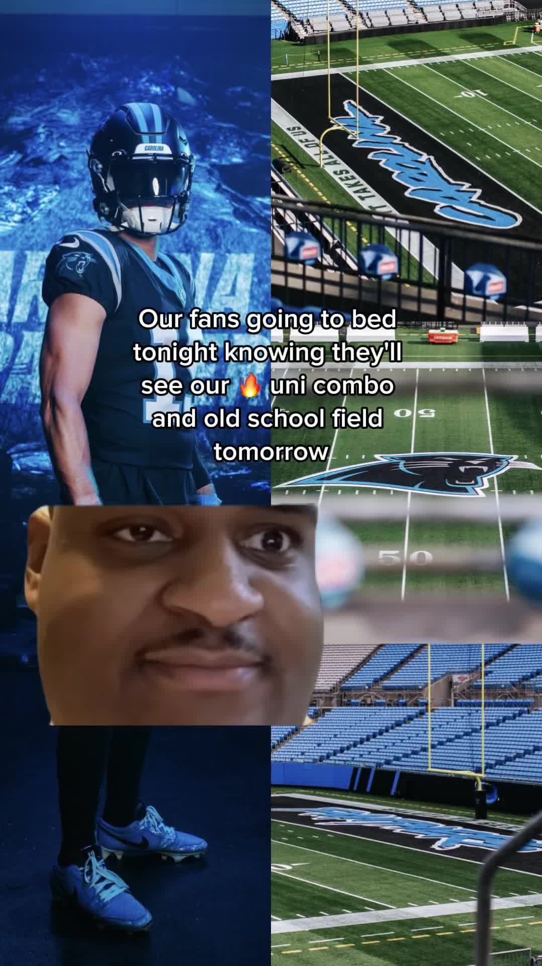 Video post by @panthers on TikTok