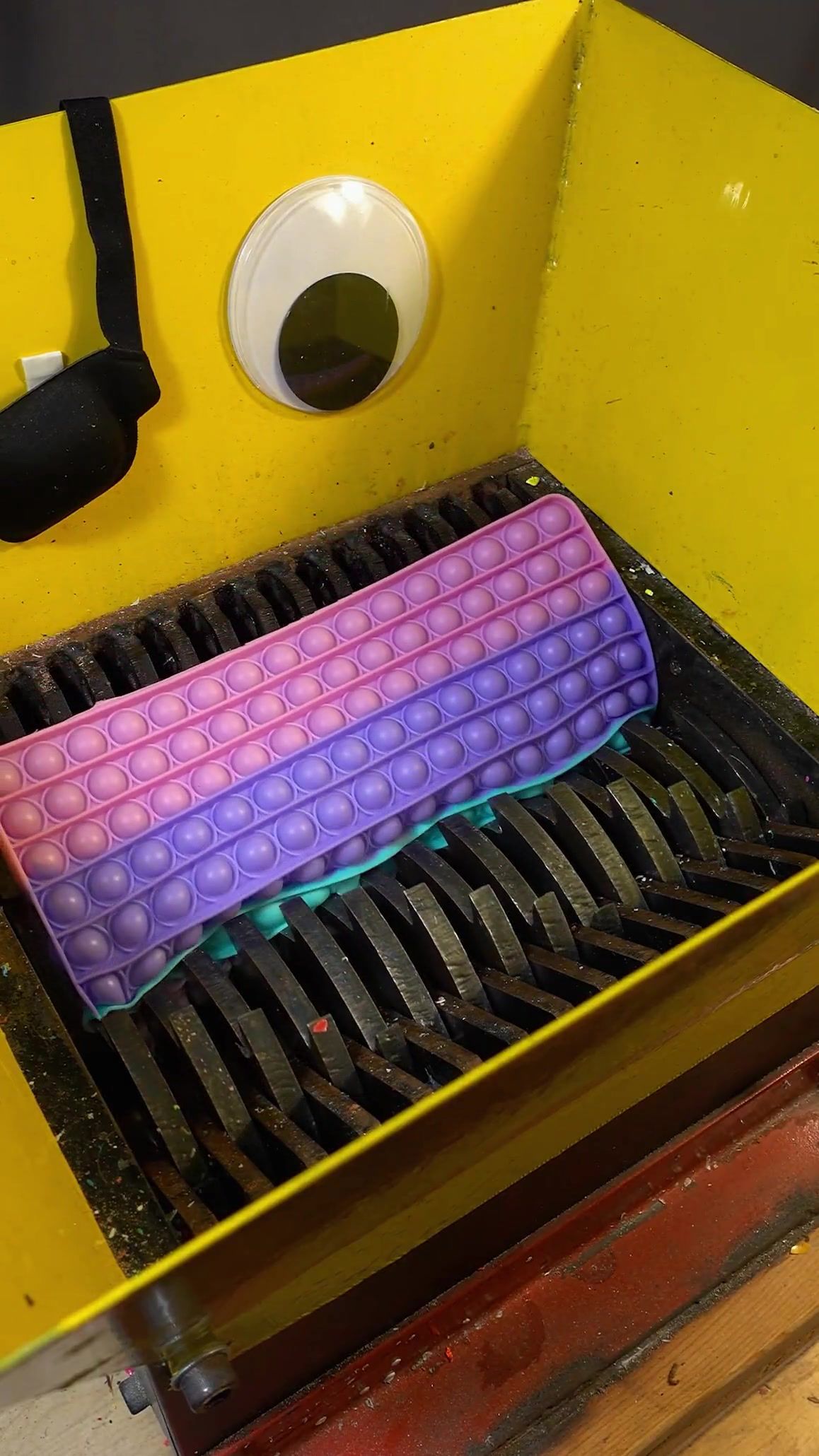 Video post by @shreddervs on TikTok