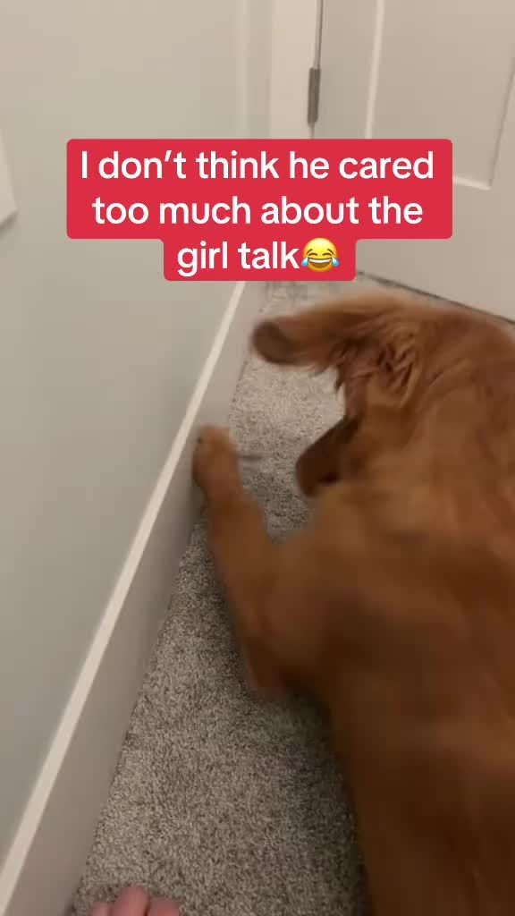 Video post by @whistle on TikTok