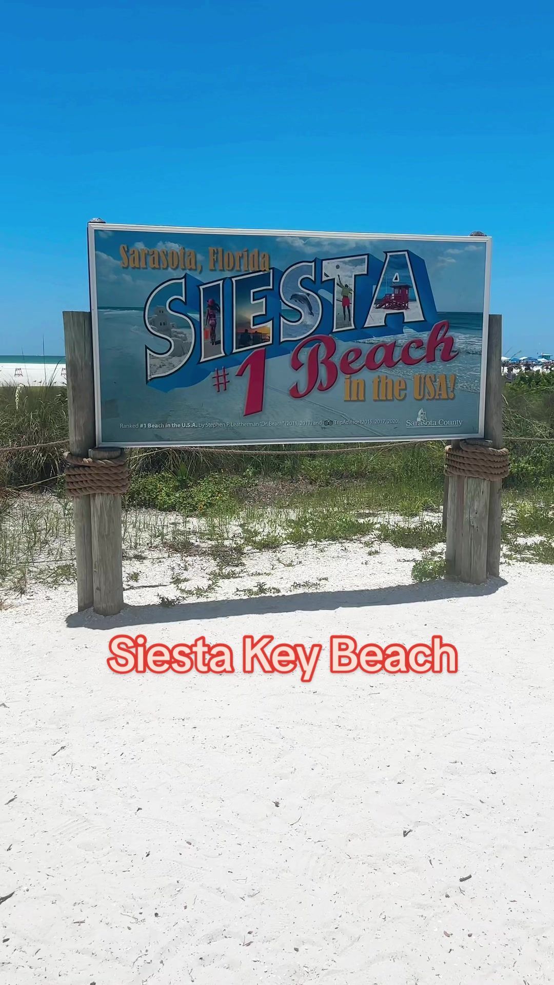 Video post by @msevelynleyva on TikTok