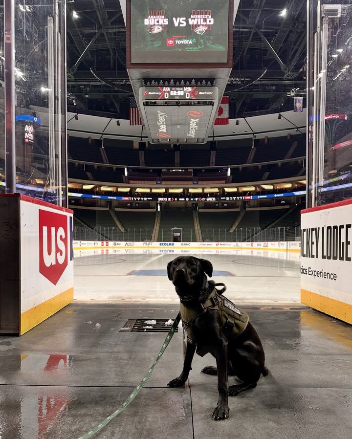 Image post by @mn-wild-pup on Facebook