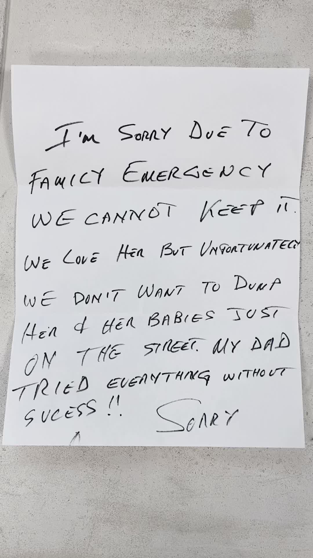 Video post by @acobegin on TikTok