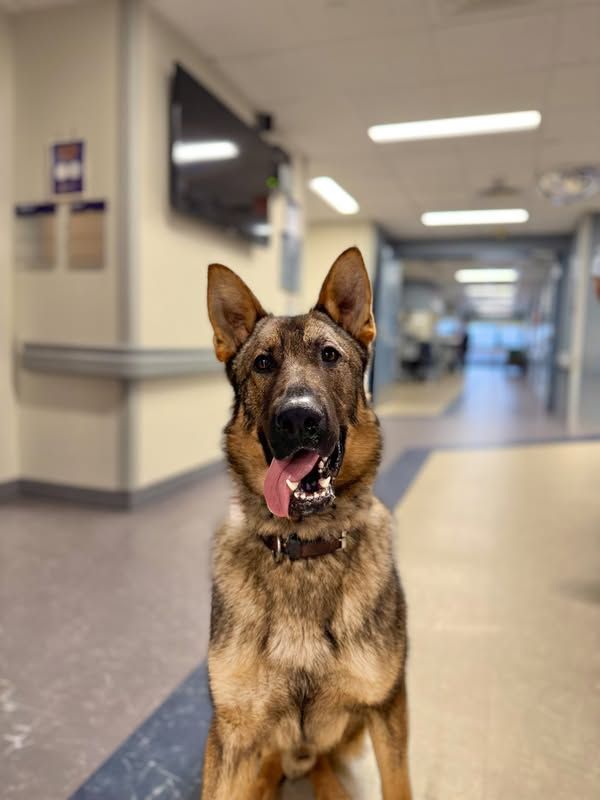 Image post by @TheGuthrieClinic on Facebook