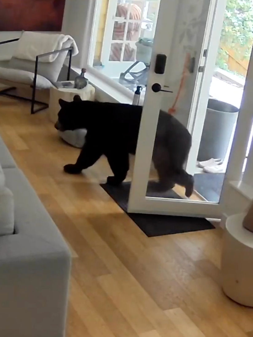 Video post by @foxweather on TikTok