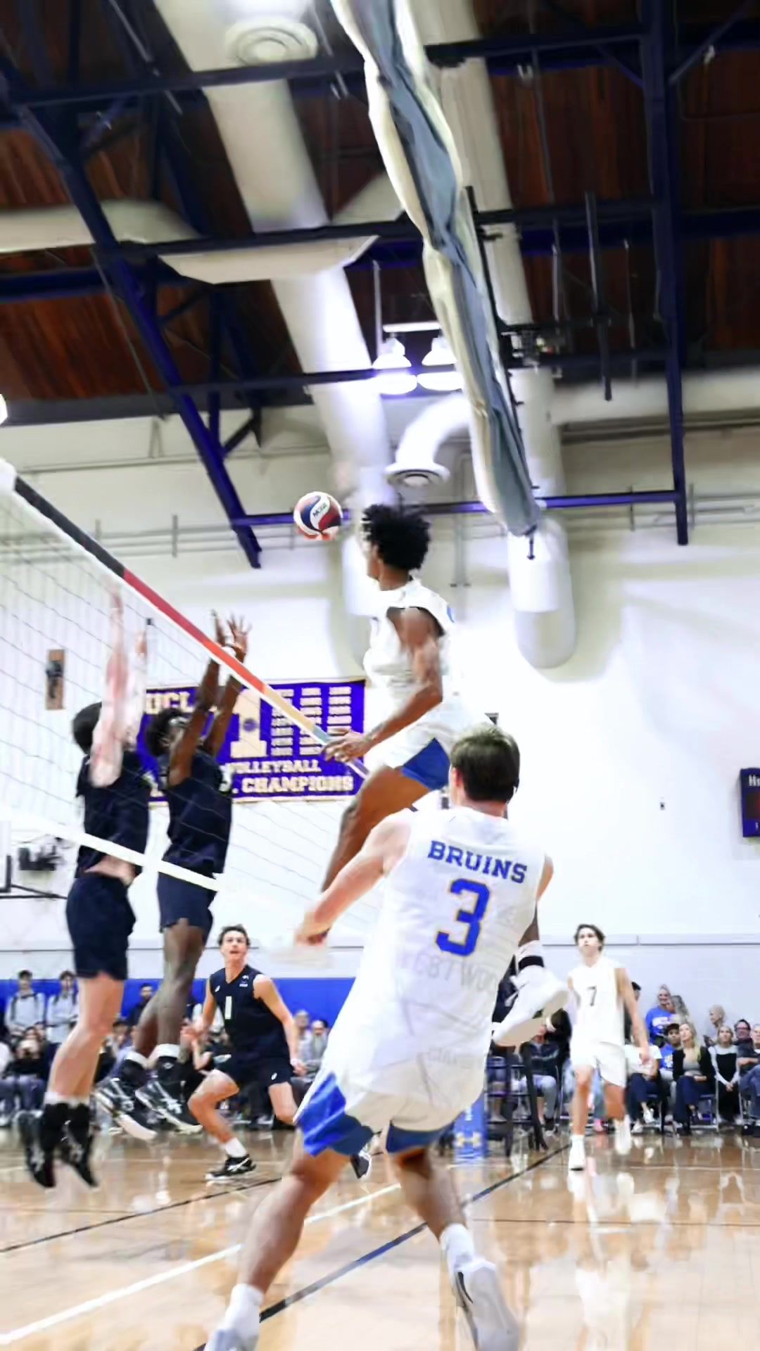 Video post by @hykchora on TikTok