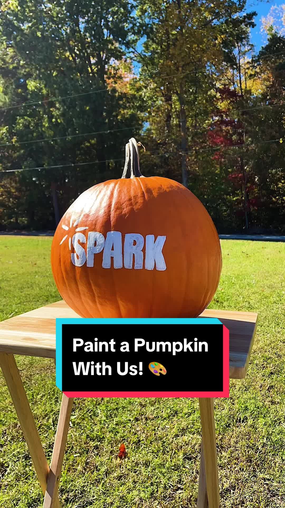 Video post by @sparkdaycampnj on TikTok