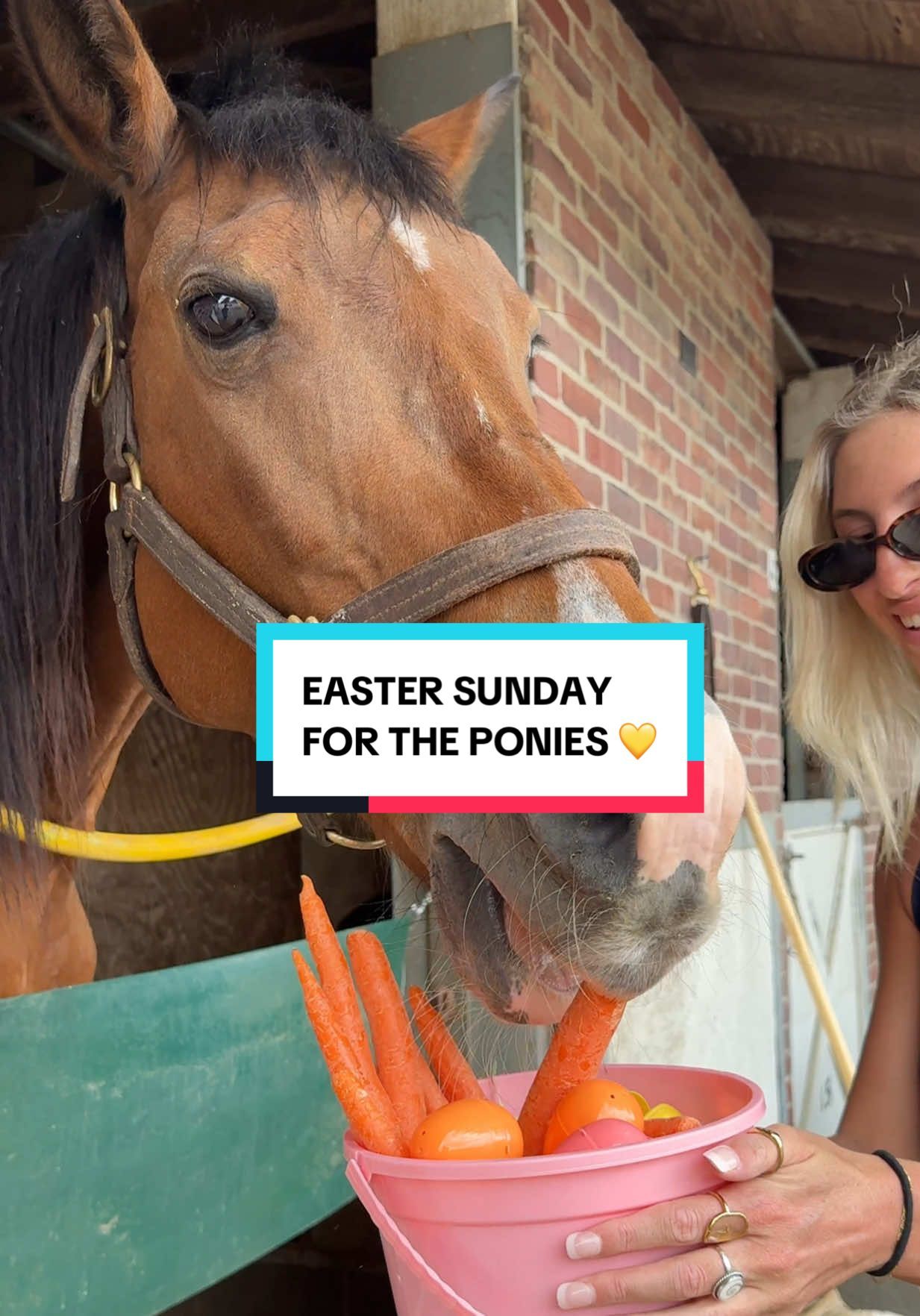 Video post by @kentuckyderby on TikTok