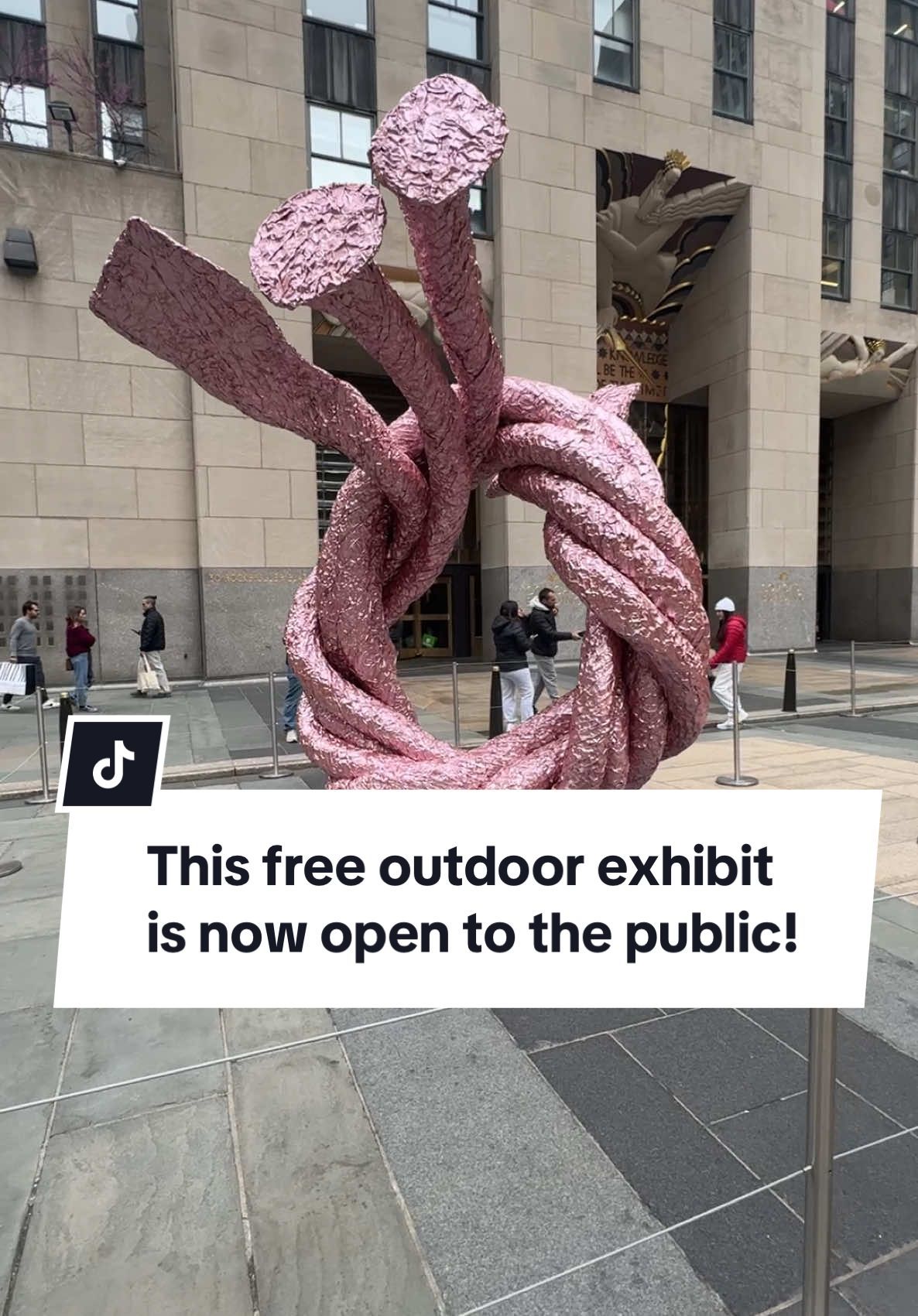 Video post by @secretnyc_ on TikTok