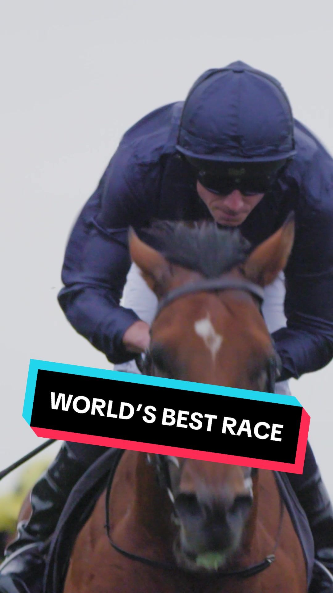 Video post by @worldhorseracing on TikTok
