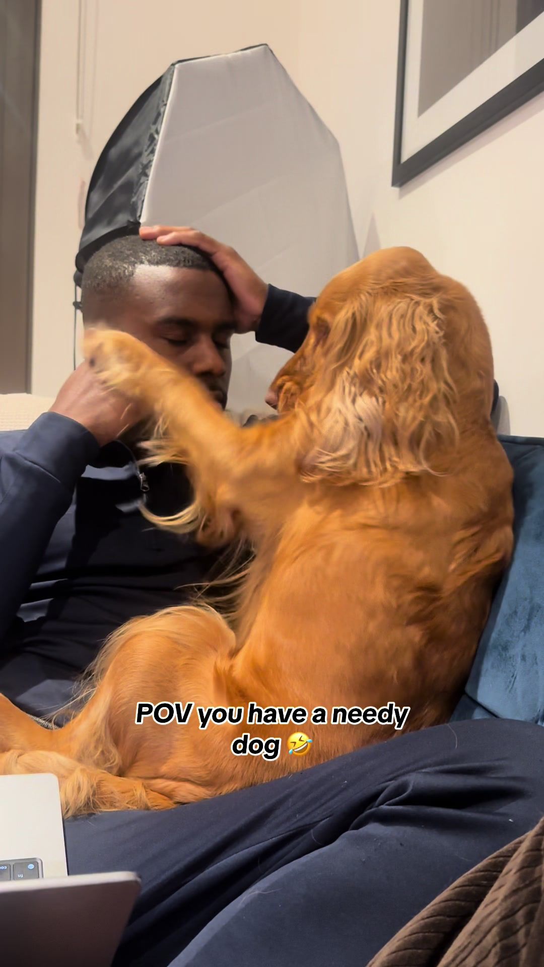 Video post by @chelseamenna on TikTok