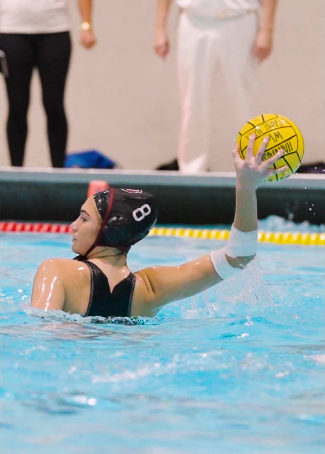 Video post by @harvardcrimson on TikTok