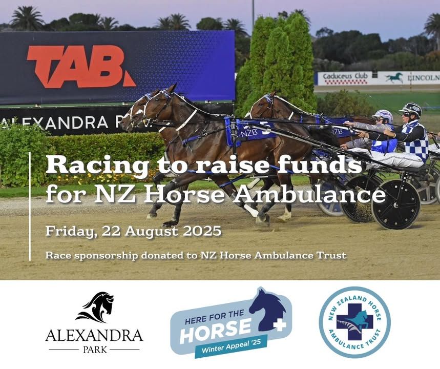 Image post by @nzhorseambulancetrust on Facebook