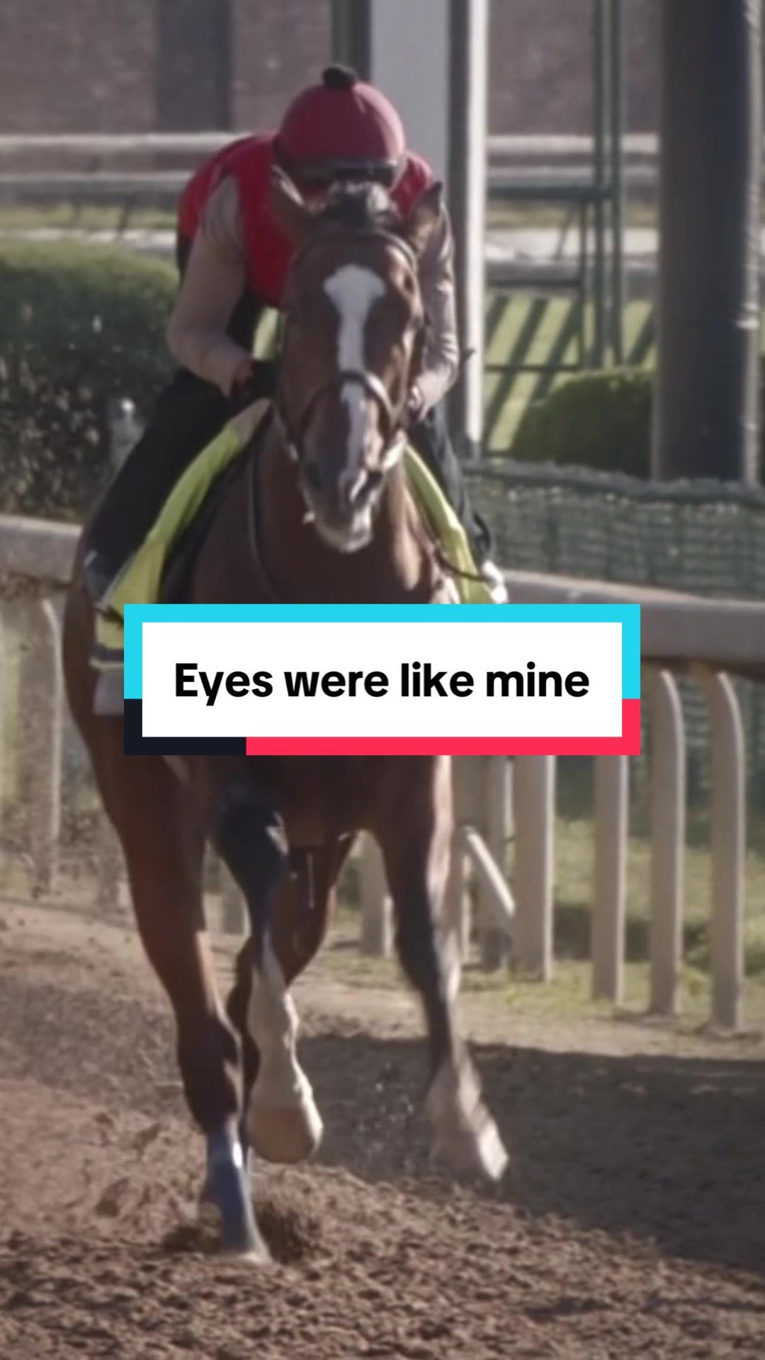 Video post by @spendthriftfarm on TikTok