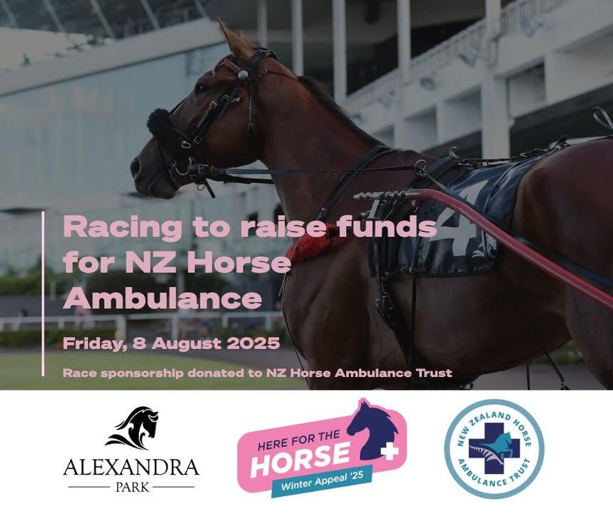 Image post by @nzhorseambulancetrust on Facebook