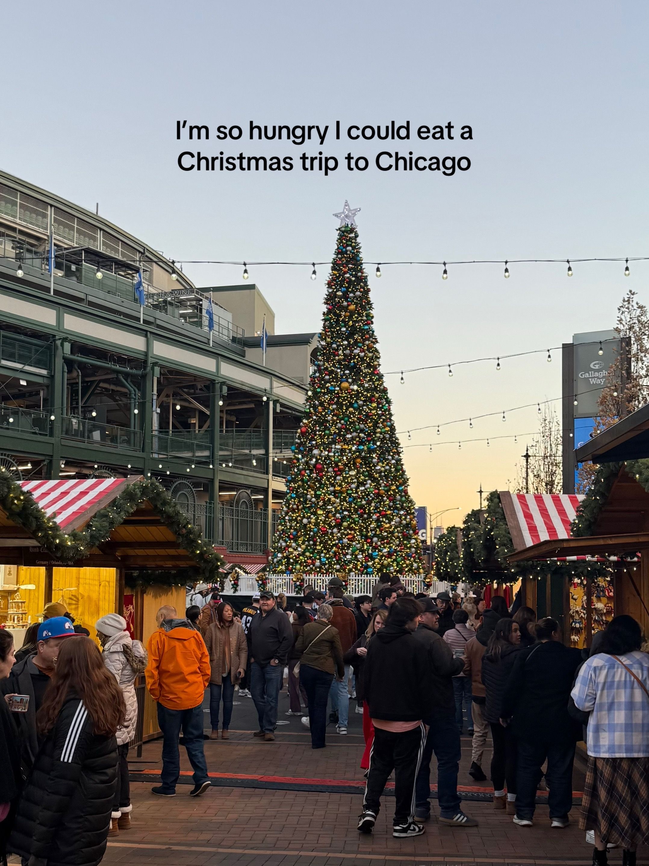 Video post by @chicago.by.ren on TikTok