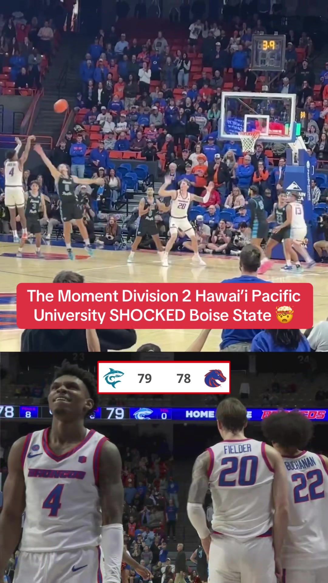 Video post by @whistle on TikTok