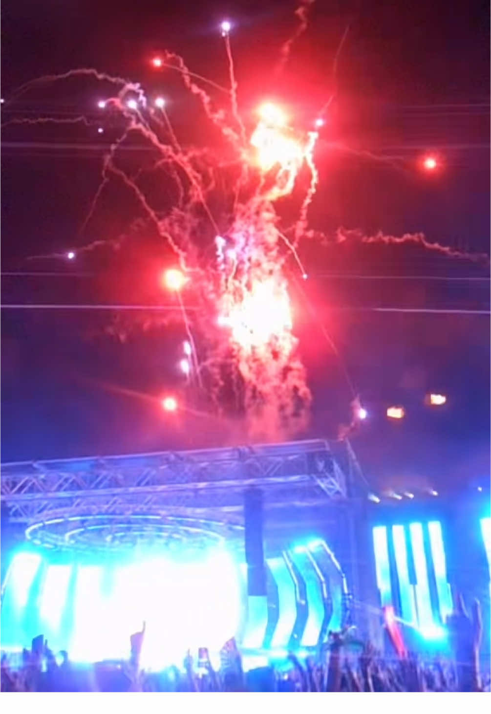 Video post by @smallbodegacat on TikTok