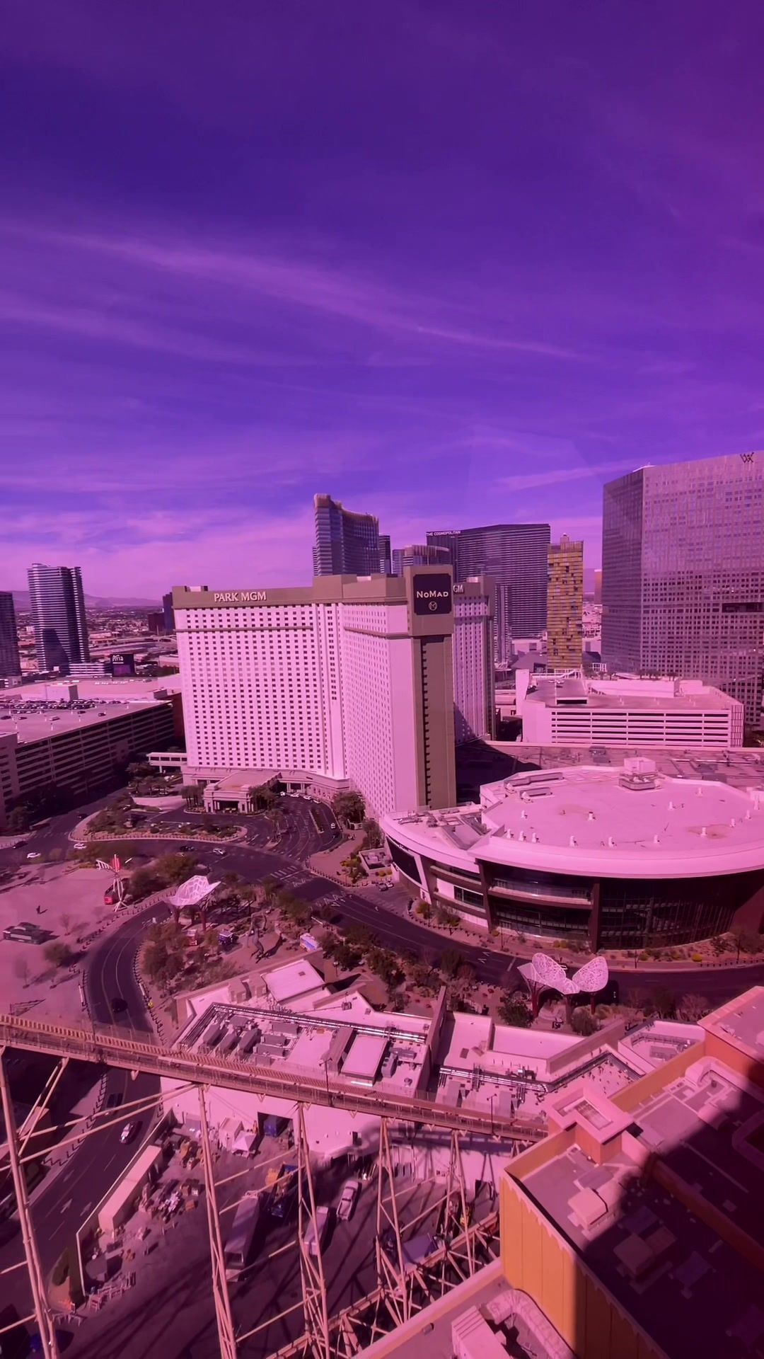 Video post by @susanswong on TikTok