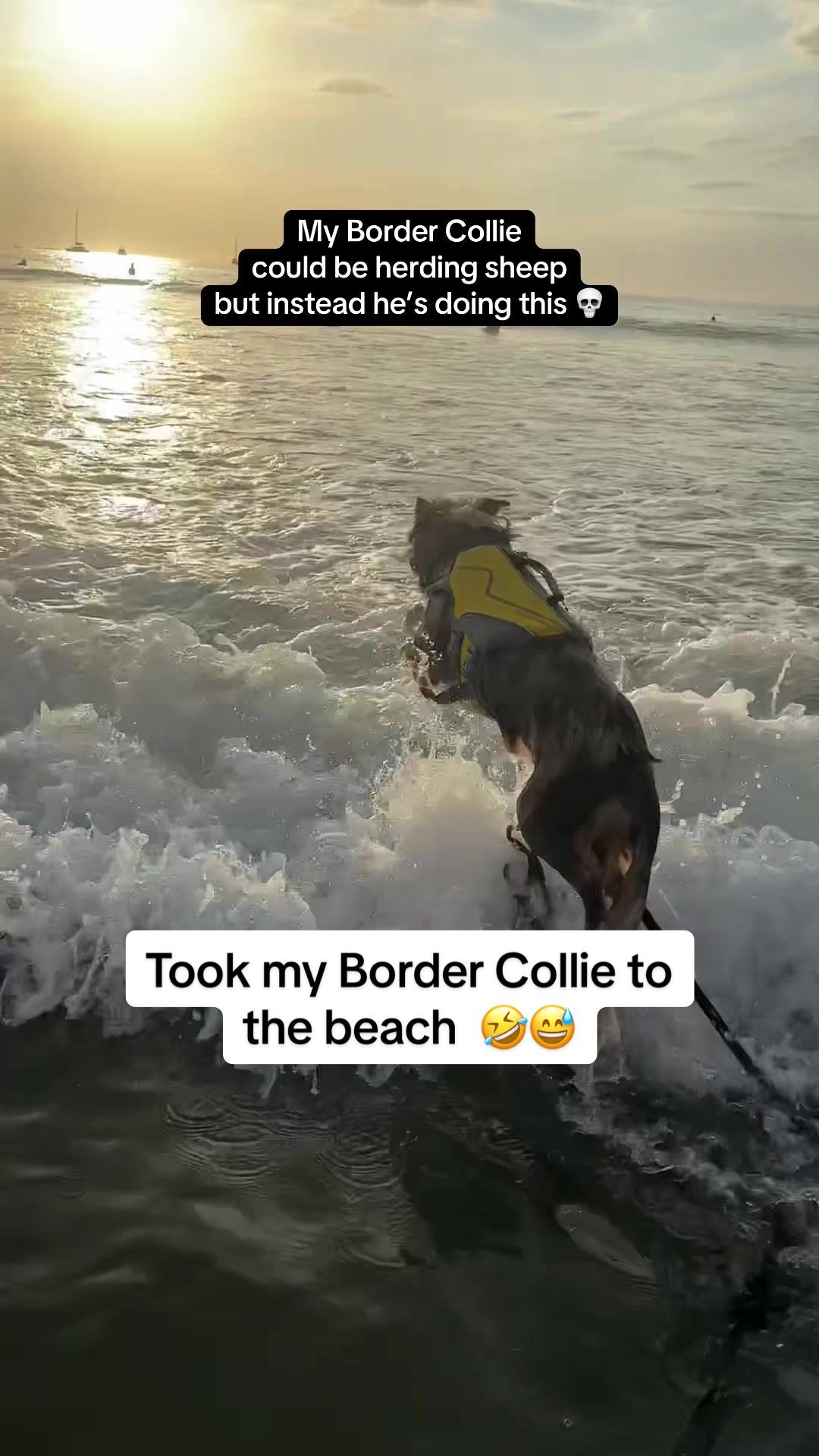 Video post by @katlyn.stevens on TikTok