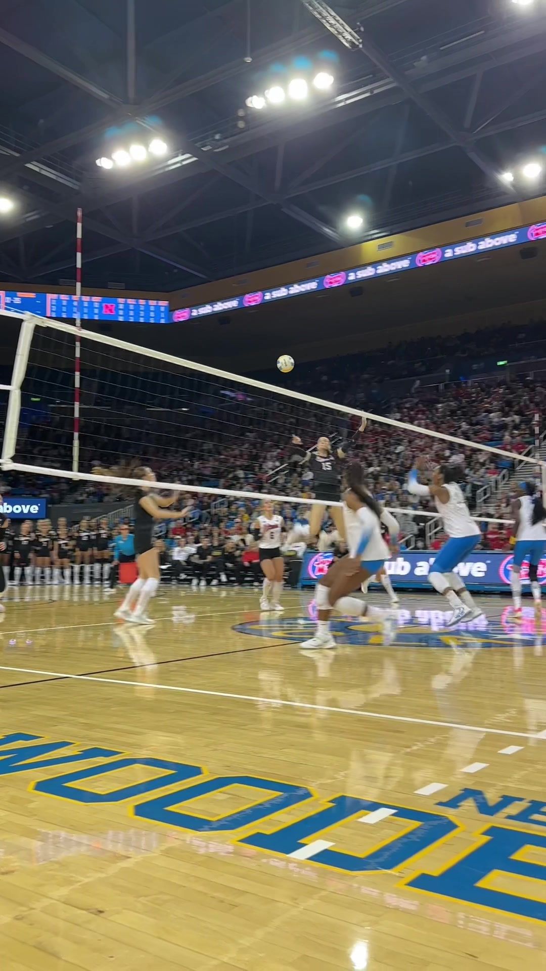 Video post by @hykchora on TikTok