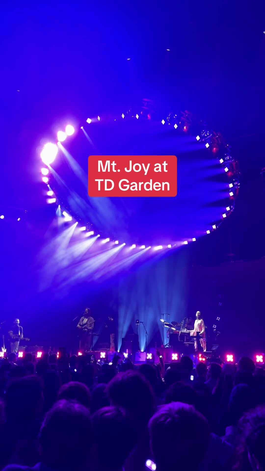 Video post by @tdgarden on TikTok