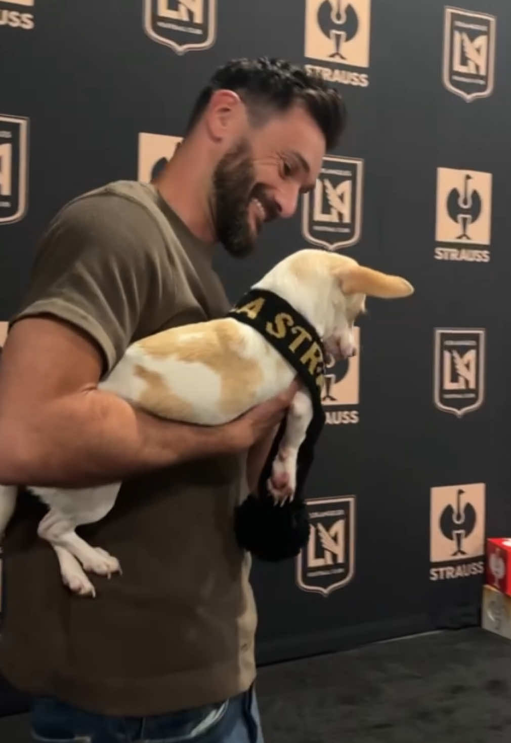 Video post by @lafc on TikTok