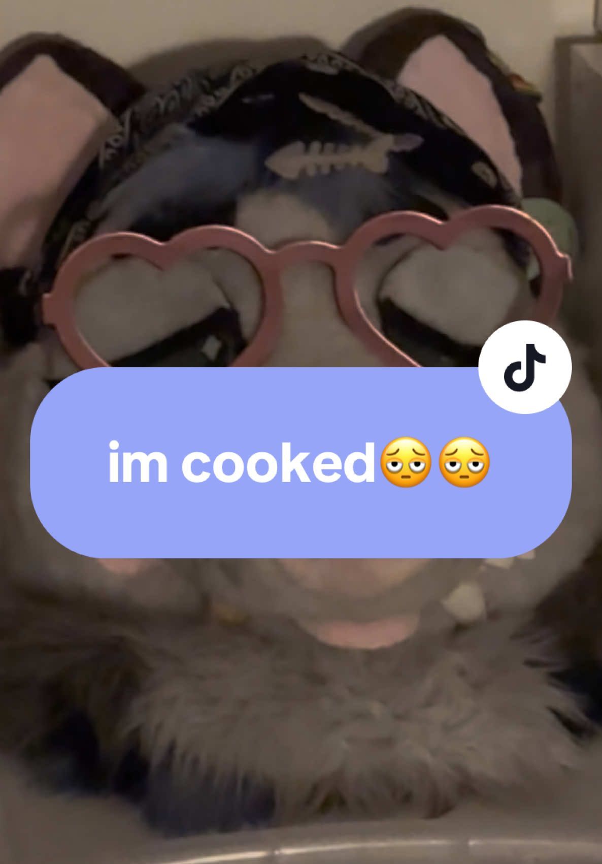 Video post by @evdalesio on TikTok