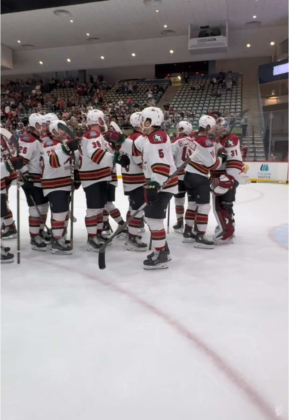 Video post by @roadrunners_ahl on TikTok