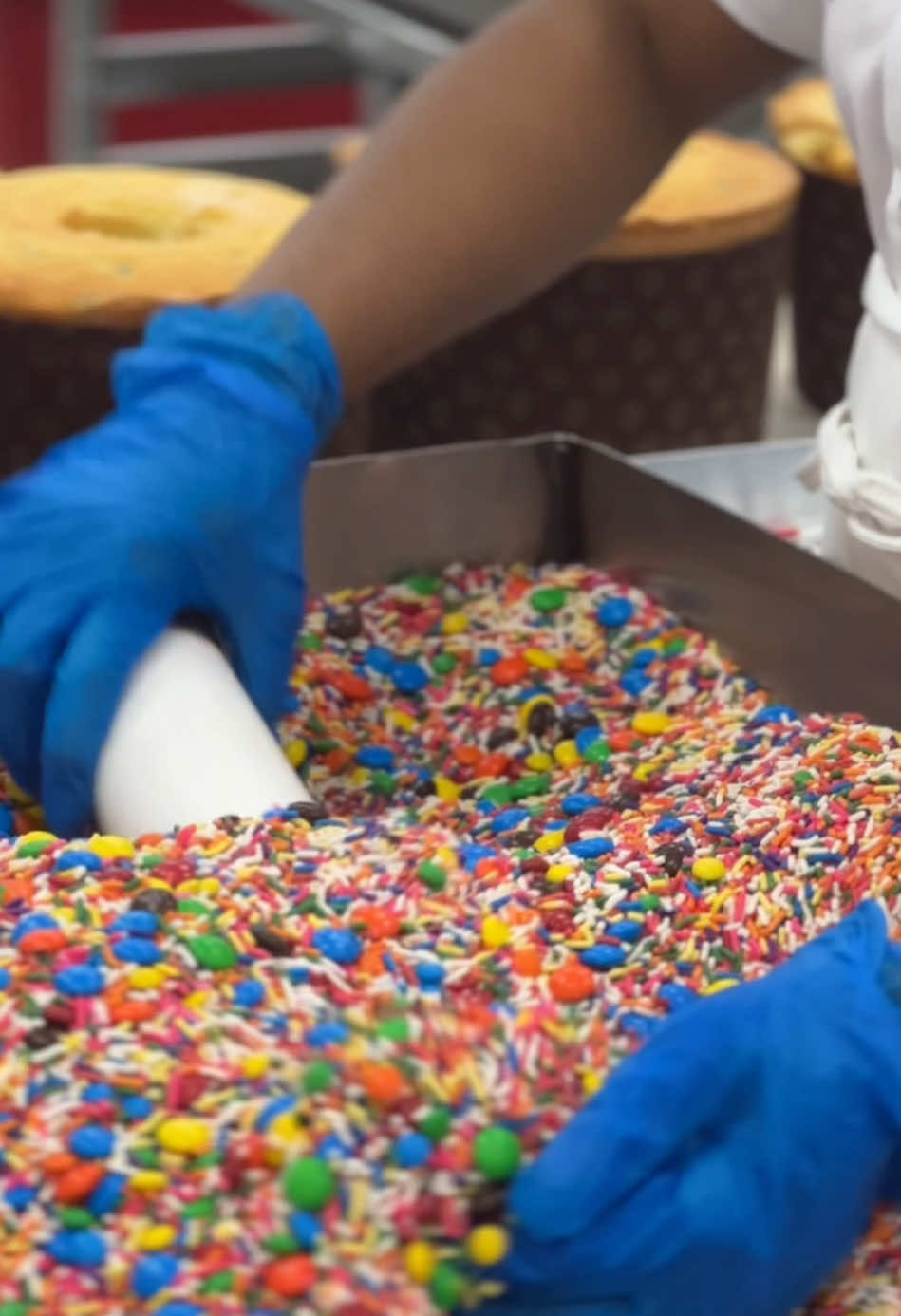 Video post by @buddyvalastro on TikTok